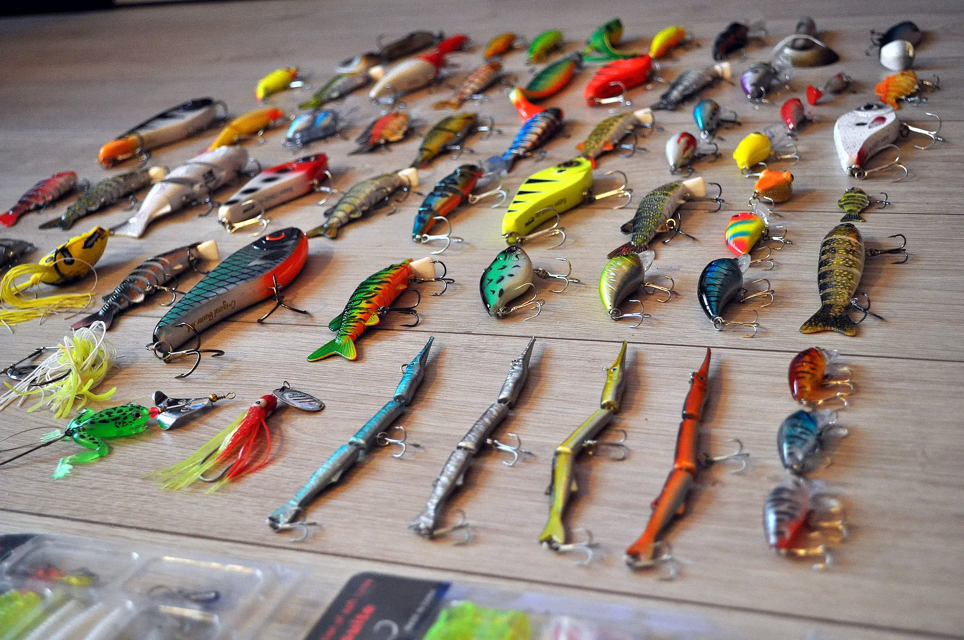 Fishing lures laid out like at a tackle shop