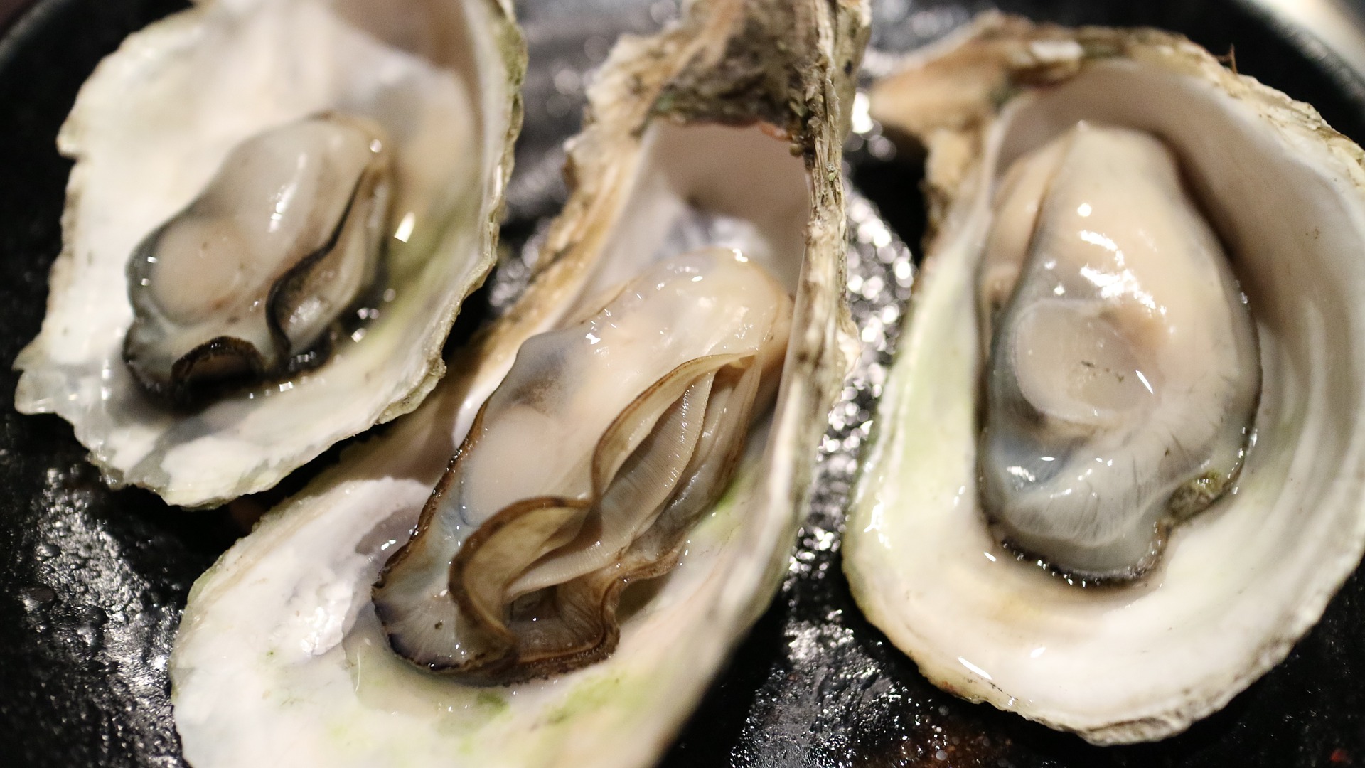 Raw oyster in the shell
