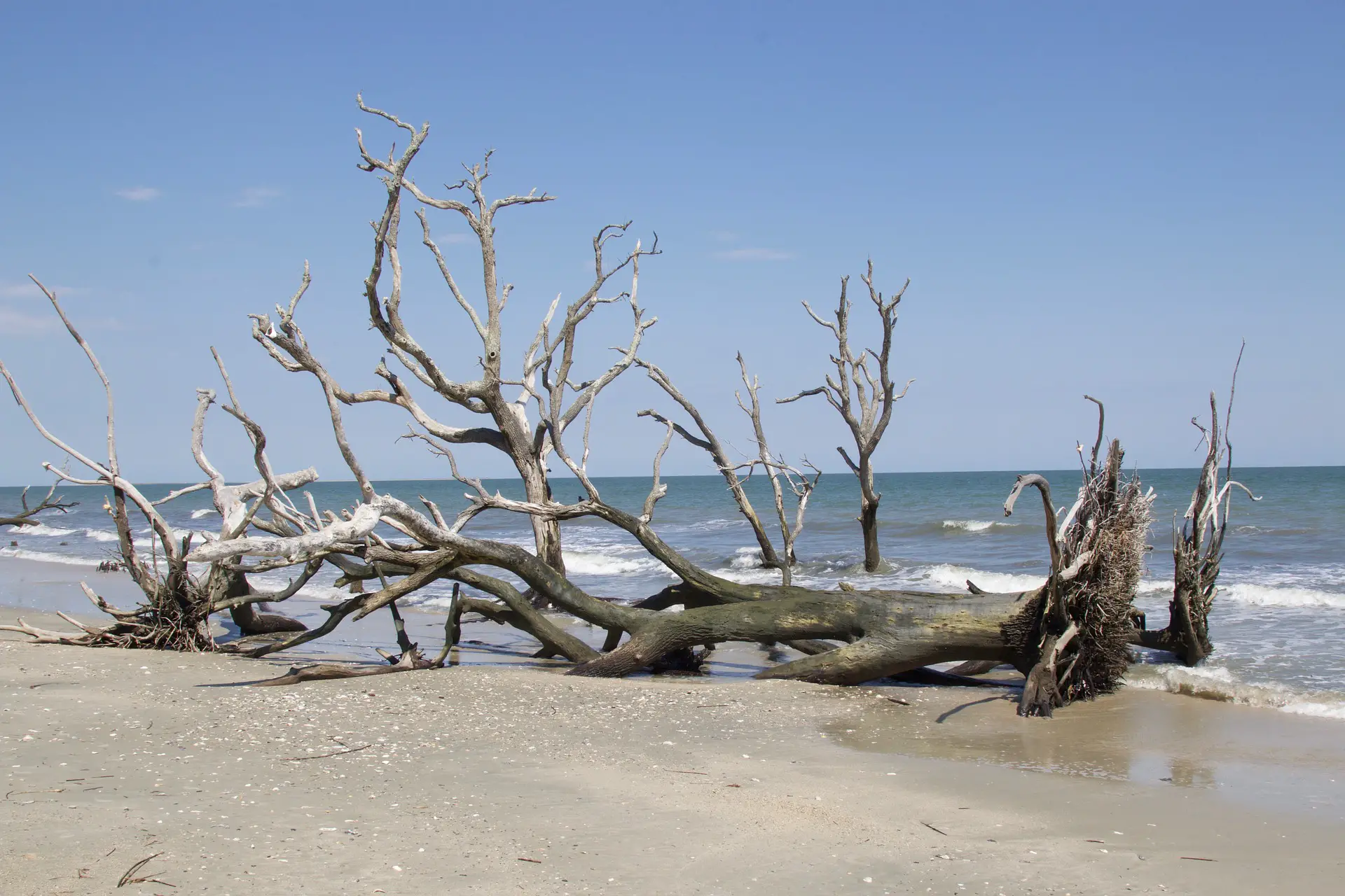 Explore South Carolina state park beaches