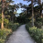 Explore state park paths