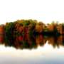 A North Carolina lake with bright fall foliage