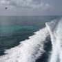 A wake created from a boat at high speeds