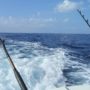 Anglers deep sea fishing in the ocean