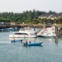 A busy marina with numerous boats tied to the dock