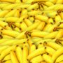 Bunches of bananas together