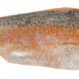 A colorful fillet of fish with the skin on