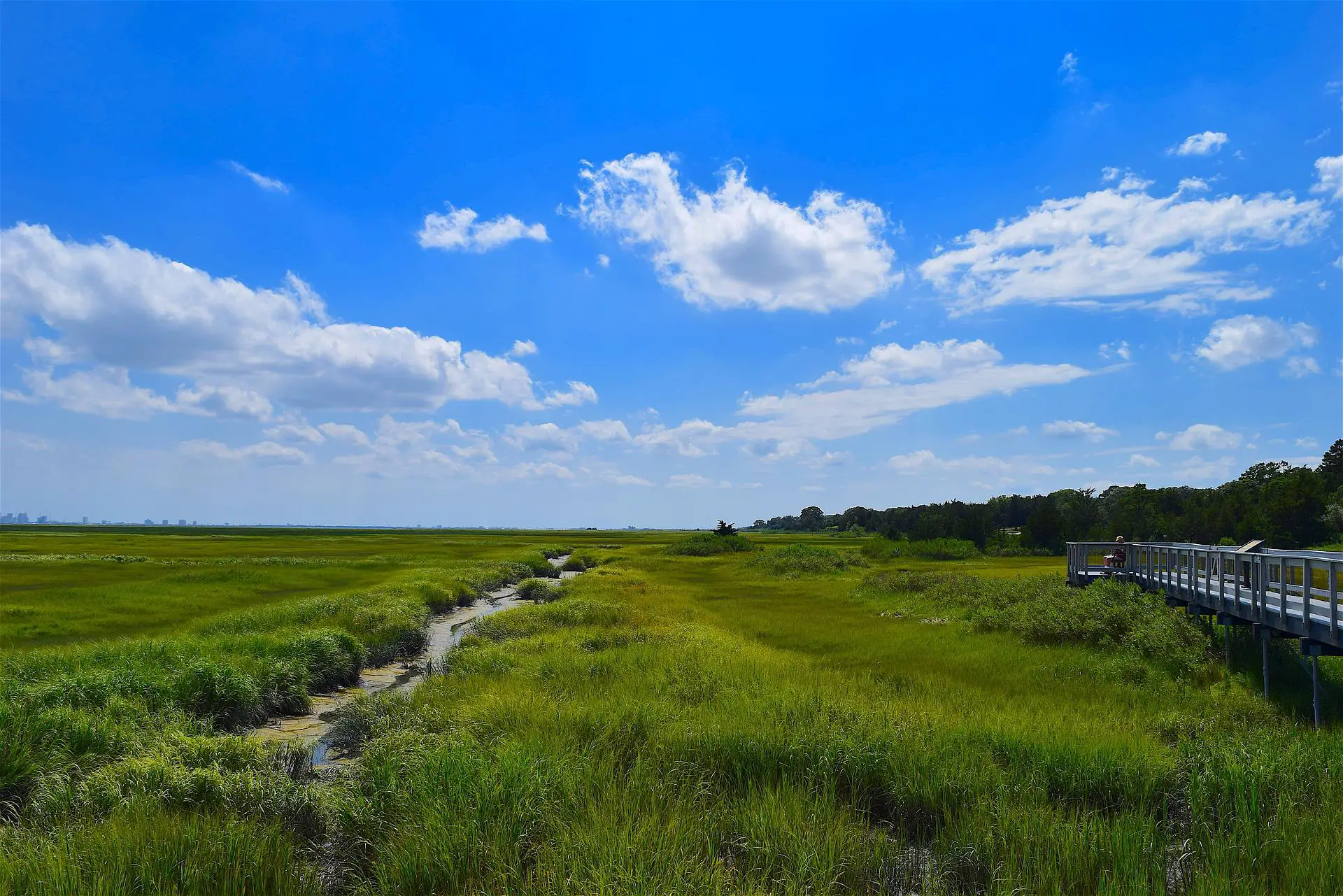 A marshy area on low tide
